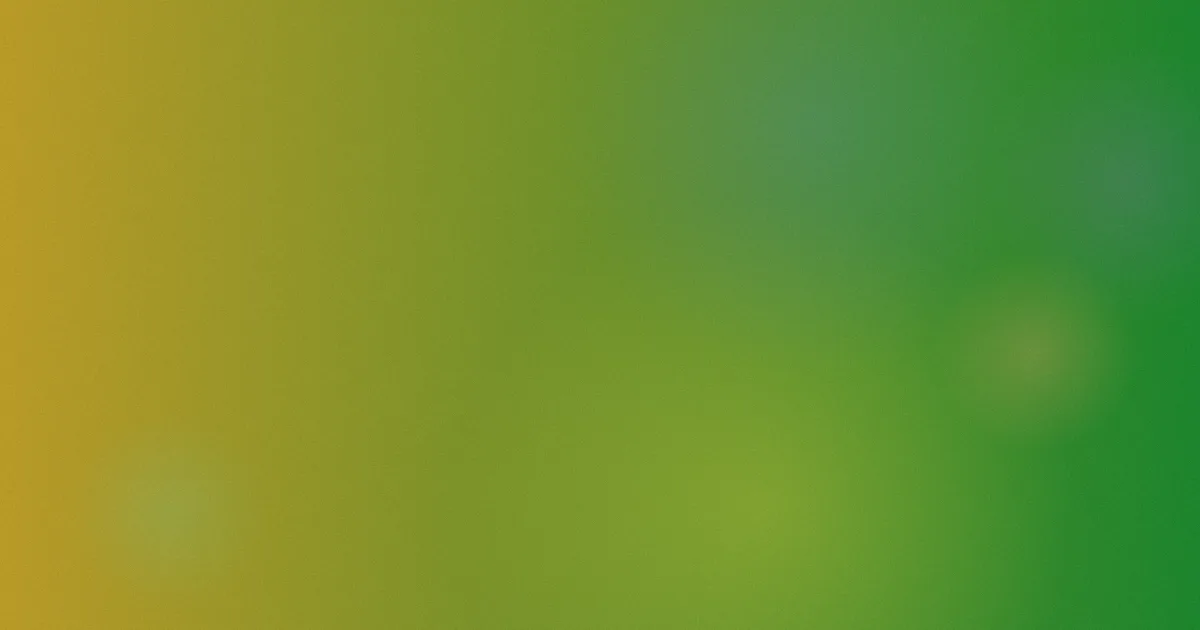 久久久久久久精品推荐：新手安全版